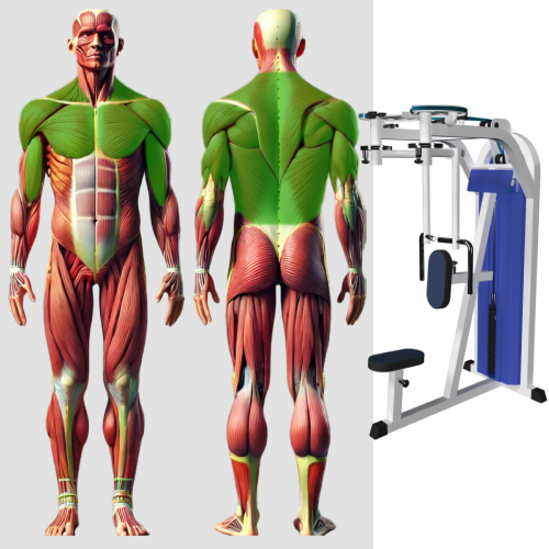 Грудь машина и задние дельты MB 3.09 N MB Barbell