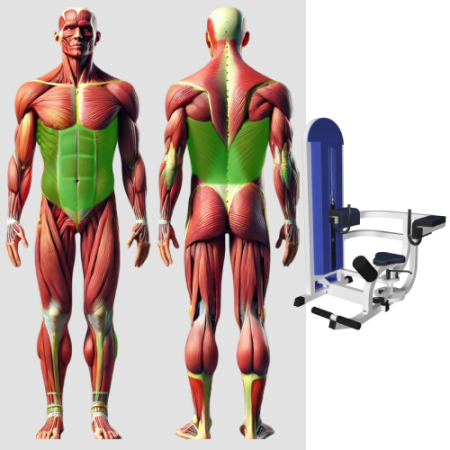 Торс машина скручивание MB 3.34 N MB Barbell