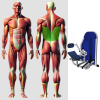 Разгибатель спины MB 3.17 N MB Barbell