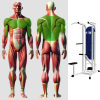 Турник брусья с разгружением Гравитрон MB 3.14 N MB Barbell