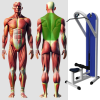 Вертикальная тяга MB 3.04 N MB Barbell